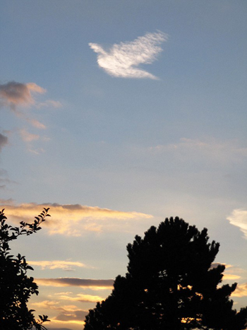 Picture of the dove-shaped cloud