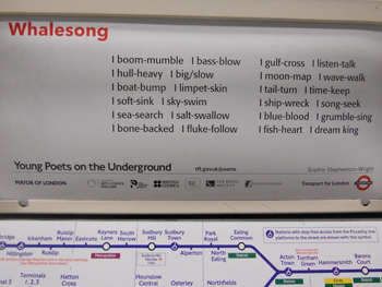 Picture of the Whalesong poem seen on the tube